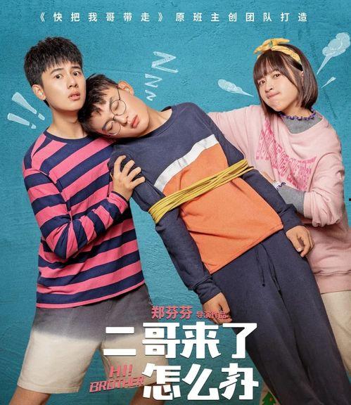 二哥来了怎么办,应对二哥到来的策略与智慧