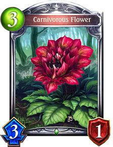 影之花,探寻神秘幻境的奇幻之旅