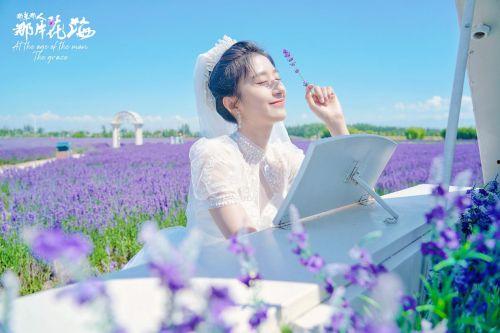那年那人那片花海,时光里的浪漫邂逅