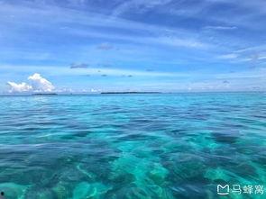 蓝色吸引力,揭秘神秘吸引力之谜